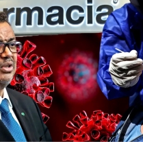 SZO sklicuje globalni sestanek, da bi določili, kako obvladovati prihajajočo pandemijo